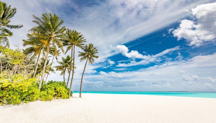 Siyam world maldives 5. Смотреть фото Siyam world maldives 5. Смотреть картинку Siyam world maldives 5. Картинка про Siyam world maldives 5. Фото Siyam world maldives 5