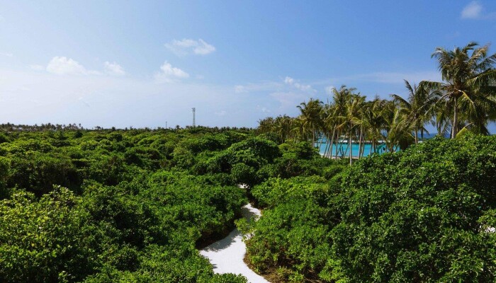 Siyam world maldives 5. Смотреть фото Siyam world maldives 5. Смотреть картинку Siyam world maldives 5. Картинка про Siyam world maldives 5. Фото Siyam world maldives 5