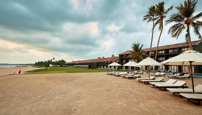 Rainbow surf beach hotel шри ланка. Отель Ekho Surf. Ekho Surf отель Шри Ланка. Эко серф Шри Ланка. Ekho Surf 4 Бентота.