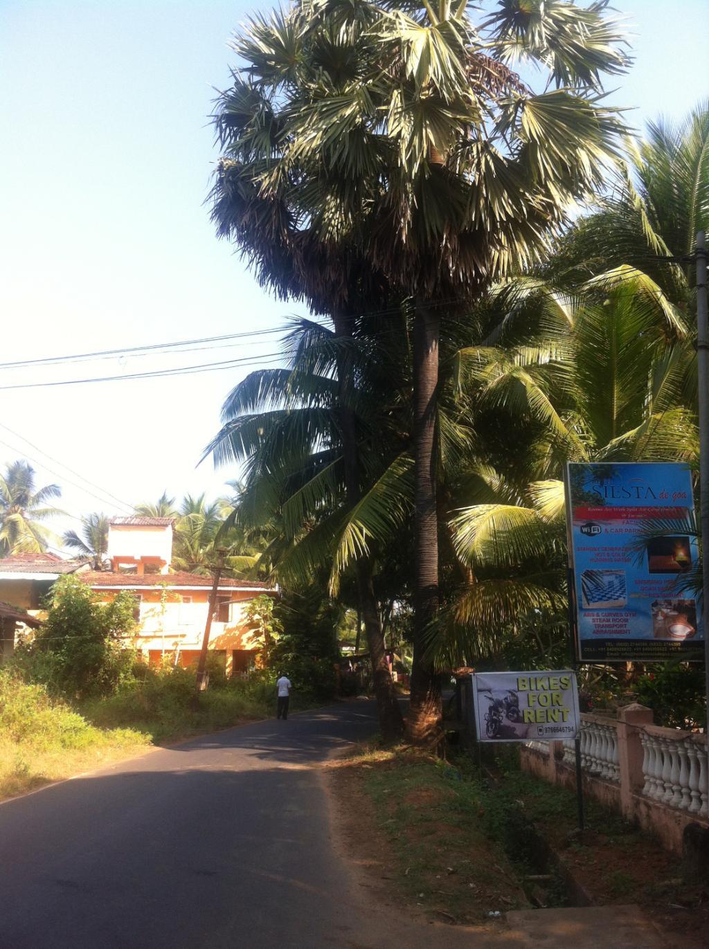 Гоа 2. Сиеста де Гоа отель. Гоа Южный 2022. Siesta de Goa 2* Индия. Индия Гоа фото туристов.